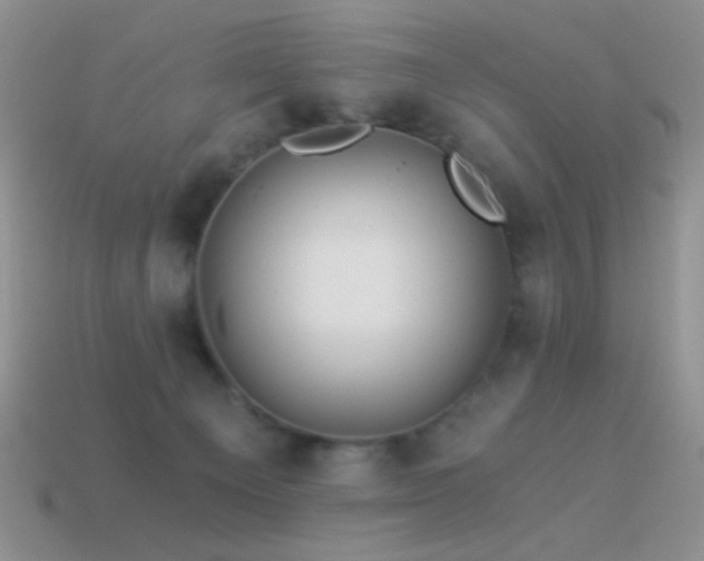 X0000114520129200910191203