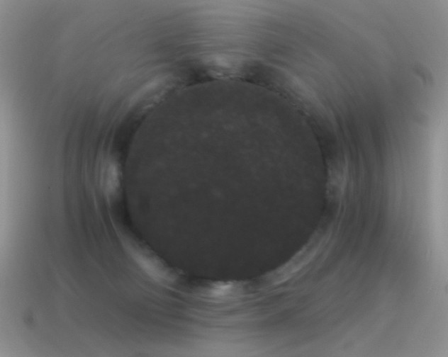 X0000114520130200910191203