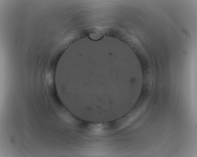 X0000114520131200910191203