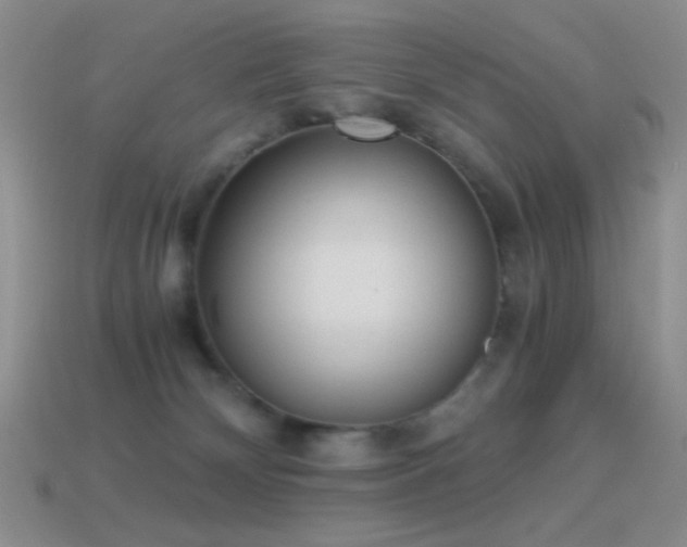 X0000114520132200910191203