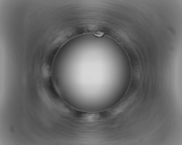 X0000114520135200910191203