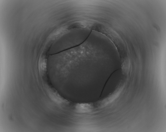 X0000114520137200910191203