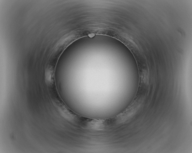 X0000114520138200910191203