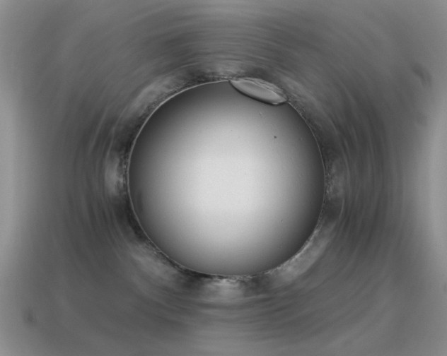 X0000114520140200910191203