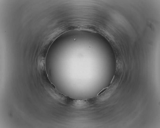 X0000114520141200910191203