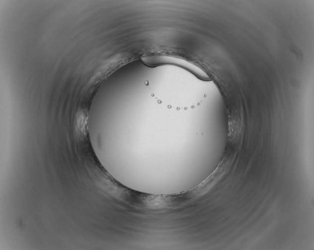 X0000114520142200910191203