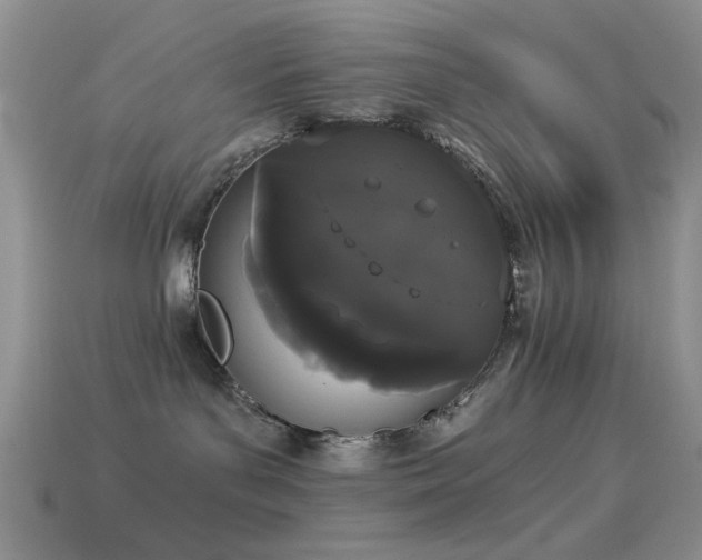 X0000114520143200910191203