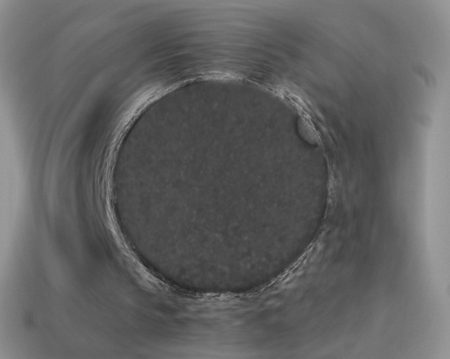 X0000114520145200910191202