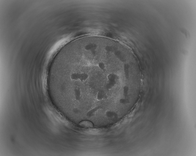 X0000114520149200910191202