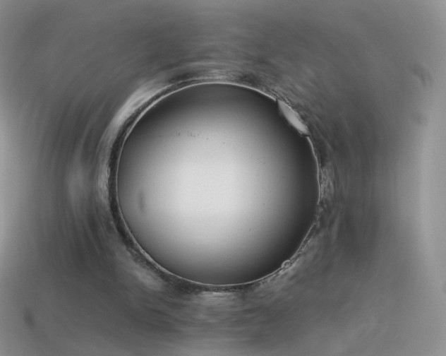 X0000114520150200910191202