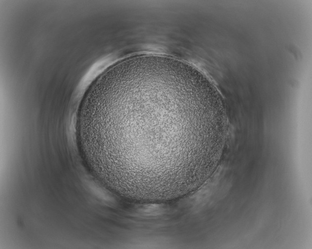 X0000114520151200910191202