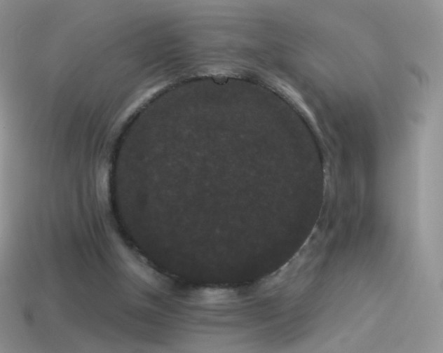 X0000114520154200910191202