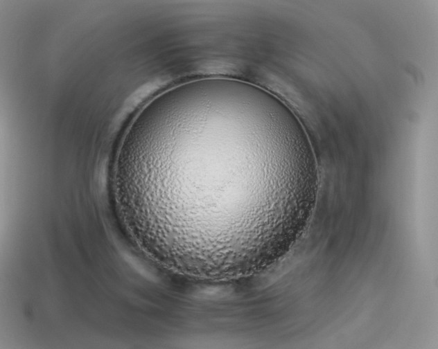 X0000114520155200910191202