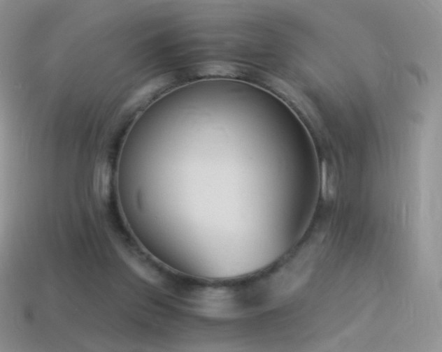 X0000114520157200910191202