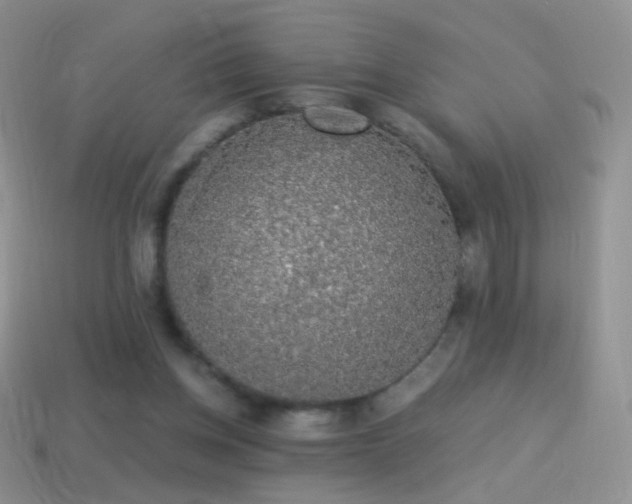 X0000114520158200910191202