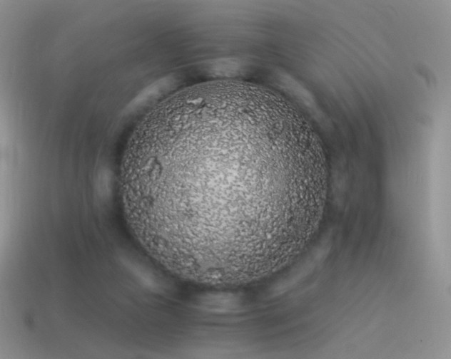 X0000114520161200910191202