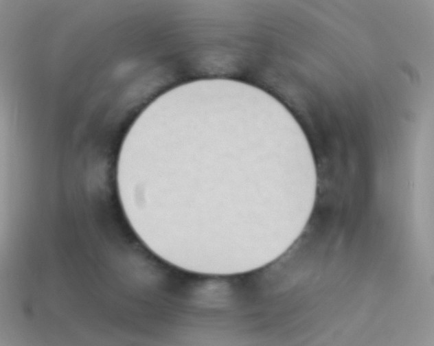 X0000114520162200910191202