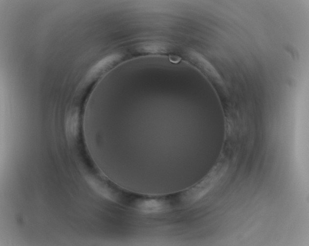 X0000114520163200910191202