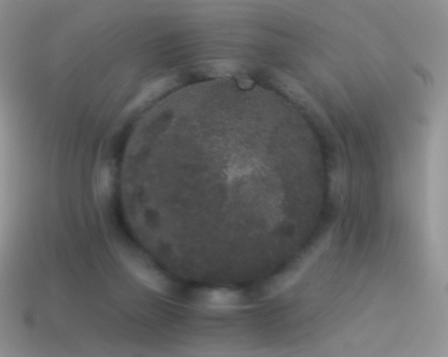 X0000114520165200910191202