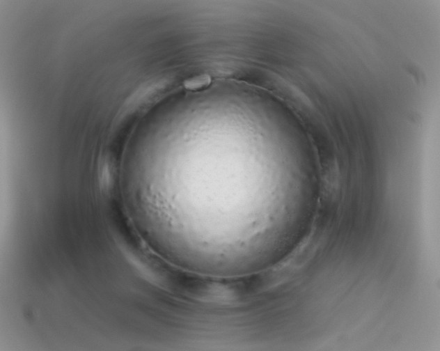 X0000114520166200910191202