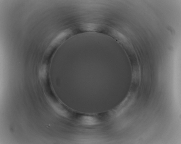 X0000114520167200910191202