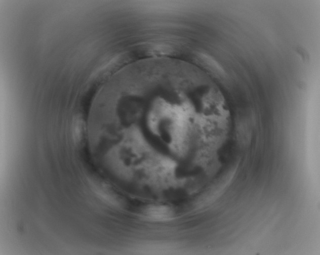 X0000114520169200910191202