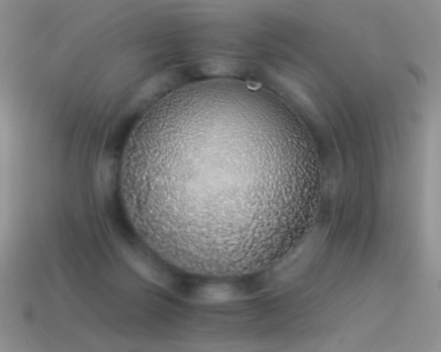 X0000114520171200910191202