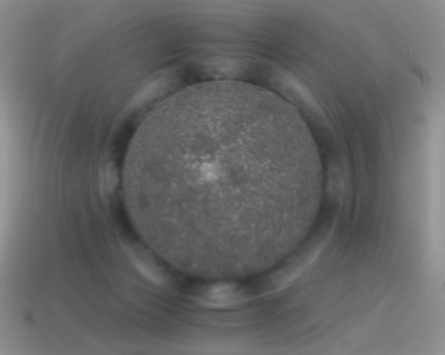 X0000114520173200910191202