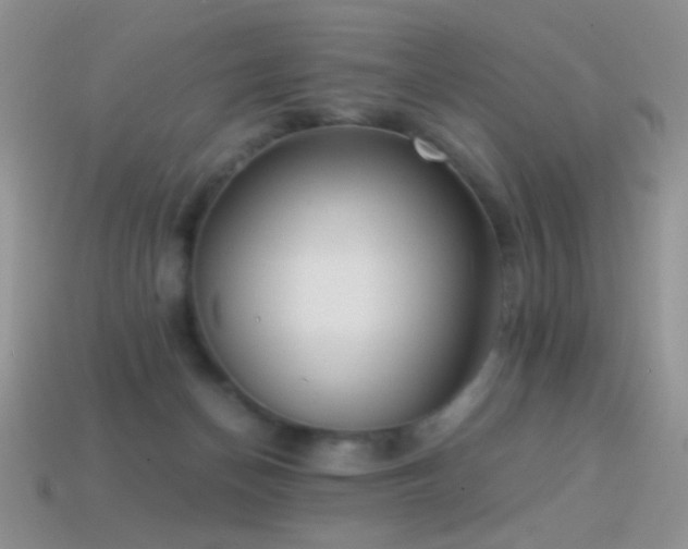 X0000114520174200910191202