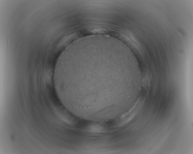 X0000114520175200910191202