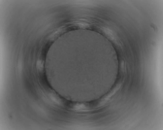 X0000114520177200910191202