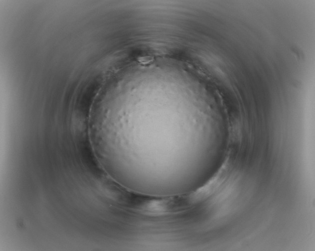 X0000114520178200910191202