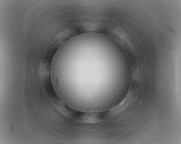 X0000114520179200910191202