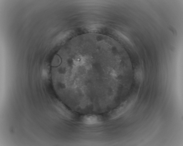 X0000114520181200910191202