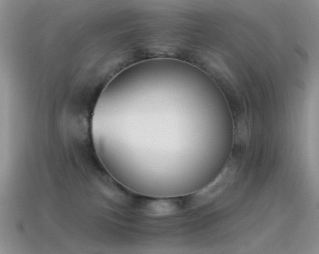 X0000114520183200910191203