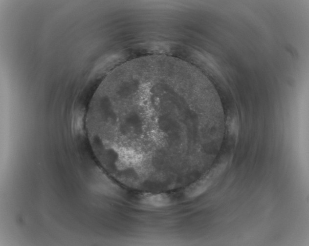 X0000114520185200910191203