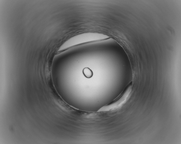 X0000114520186200910191203