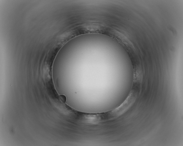 X0000114520187200910191203