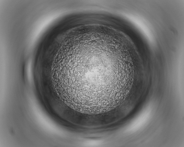 X0000114520189200910191203