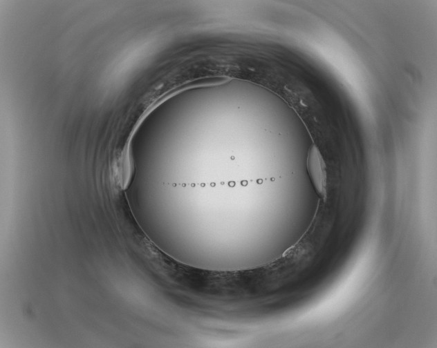 X0000114520190200910191203