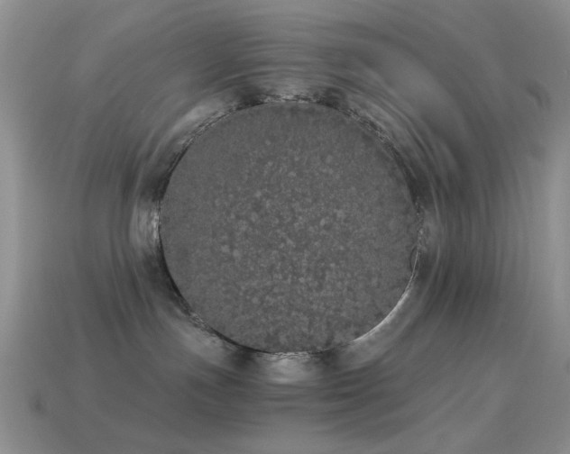 X0000114520191200910191203