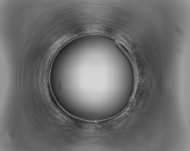 X0000114520193200910191202