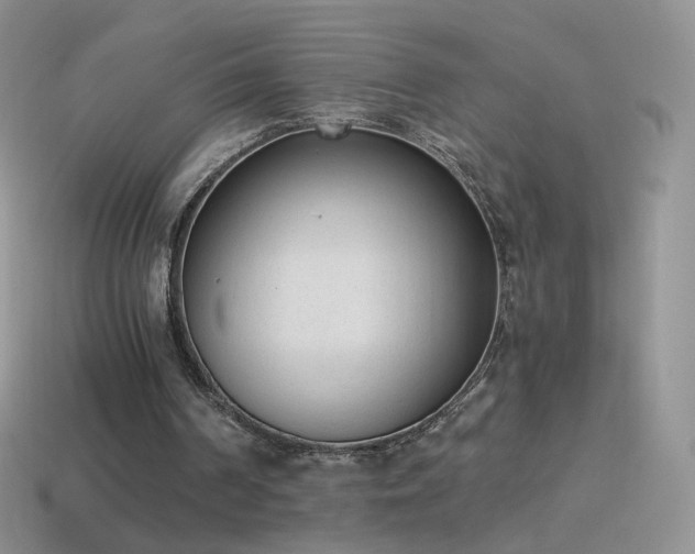 X0000114520194200910191202