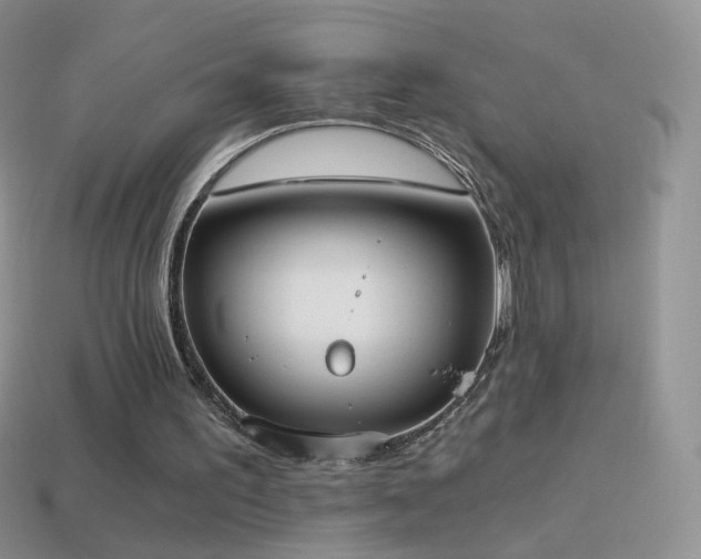 X0000114520195200910191202