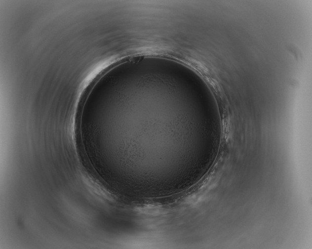 X0000114520196200910191202