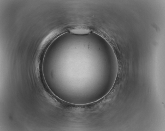 X0000114520197200910191202