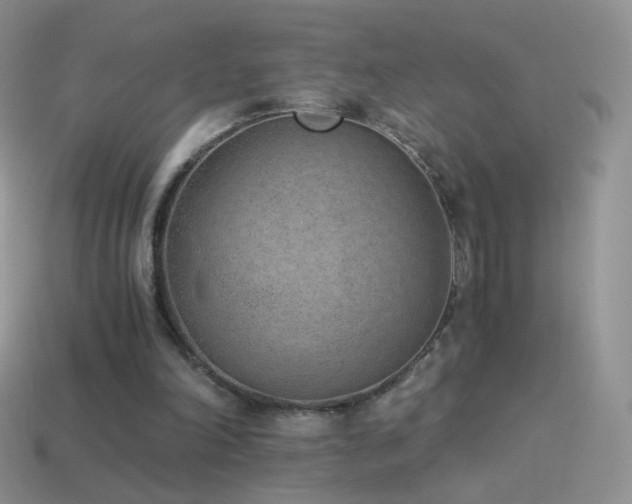 X0000114520198200910191202