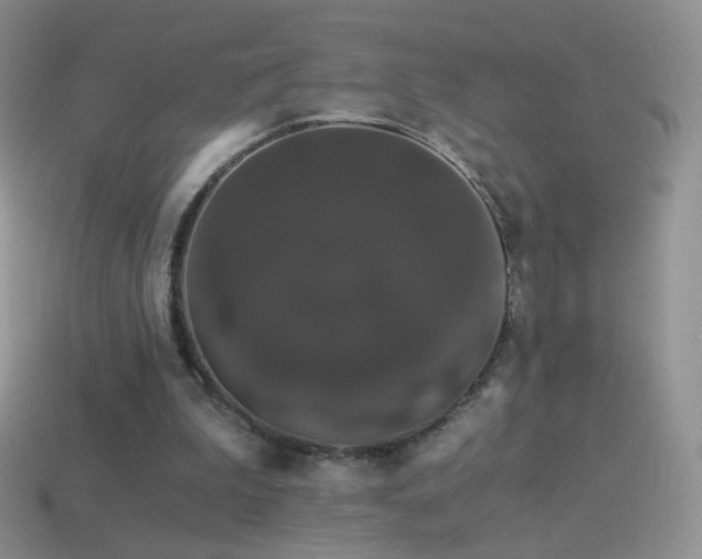 X0000114520199200910191202