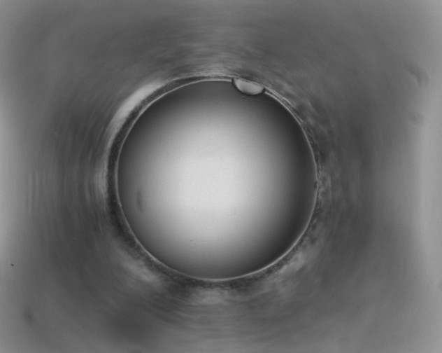 X0000114520200200910191202