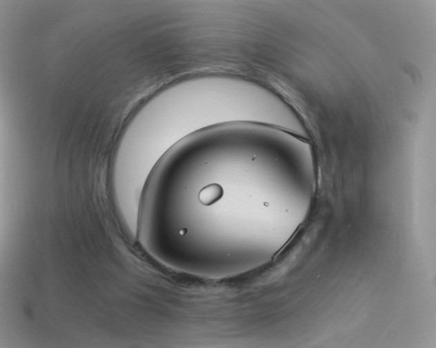 X0000114520201200910191202